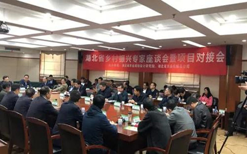湖北省乡村振兴专家座谈会暨项目对接会在汉召开